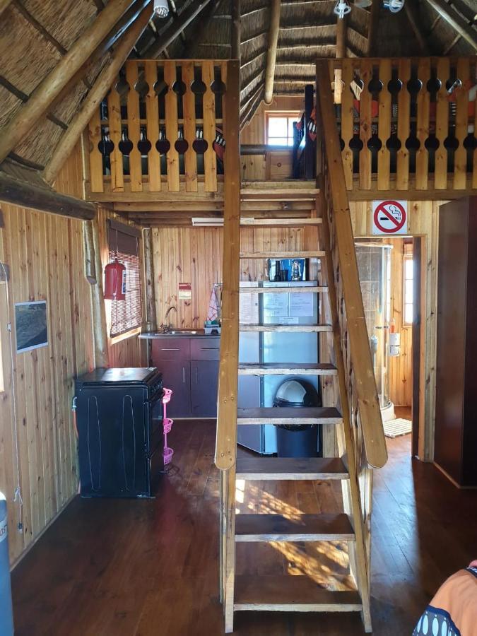 Honne-Pondokkies Hondeklipbaai Dış mekan fotoğraf