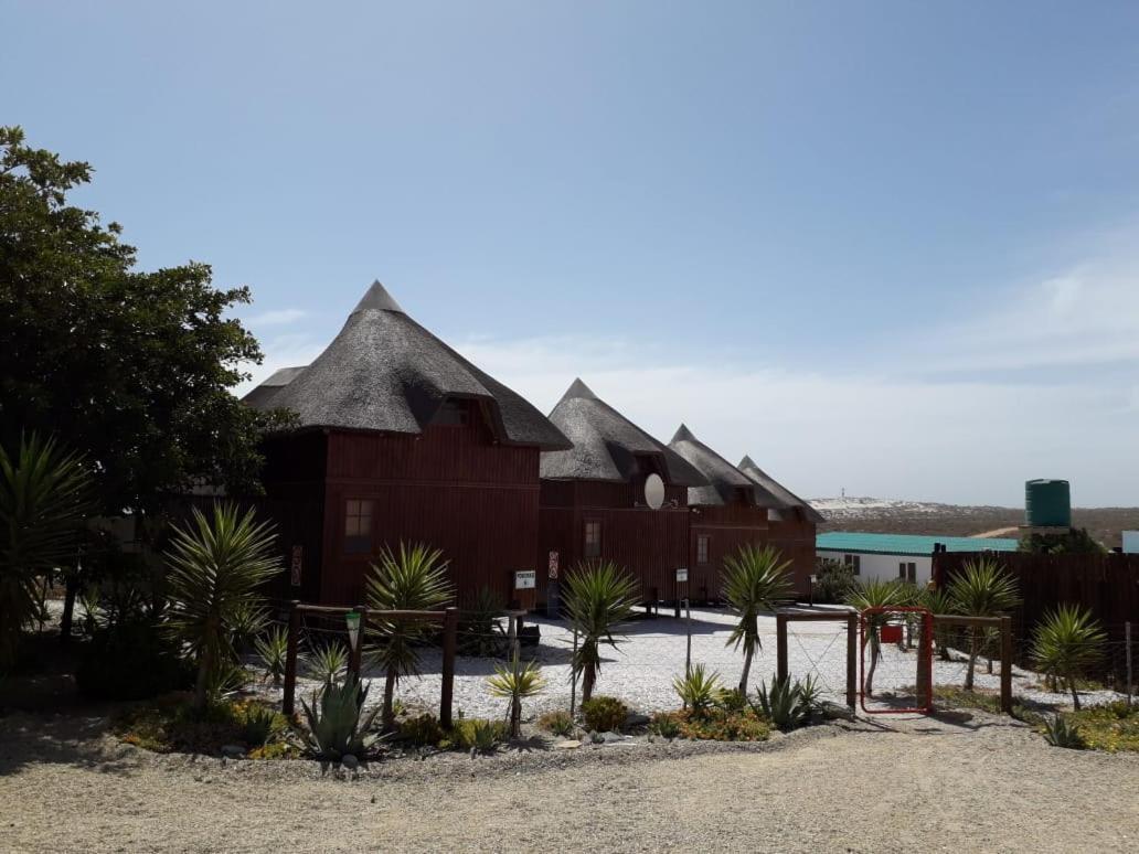 Honne-Pondokkies Hondeklipbaai Dış mekan fotoğraf
