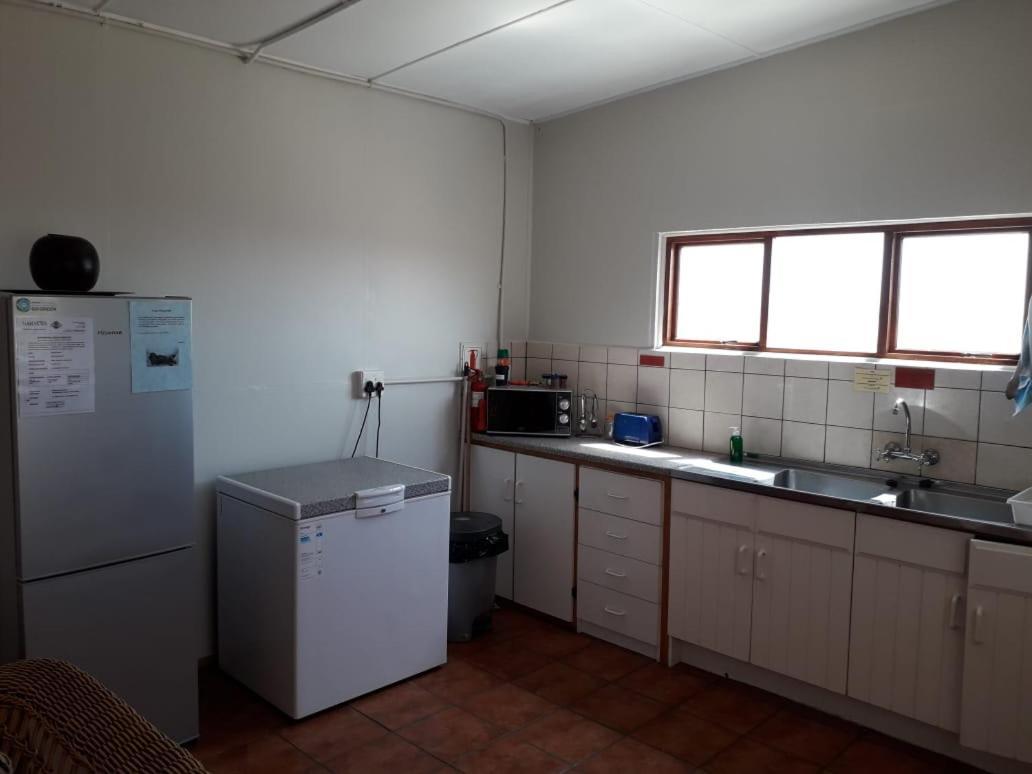 Honne-Pondokkies Hondeklipbaai Dış mekan fotoğraf