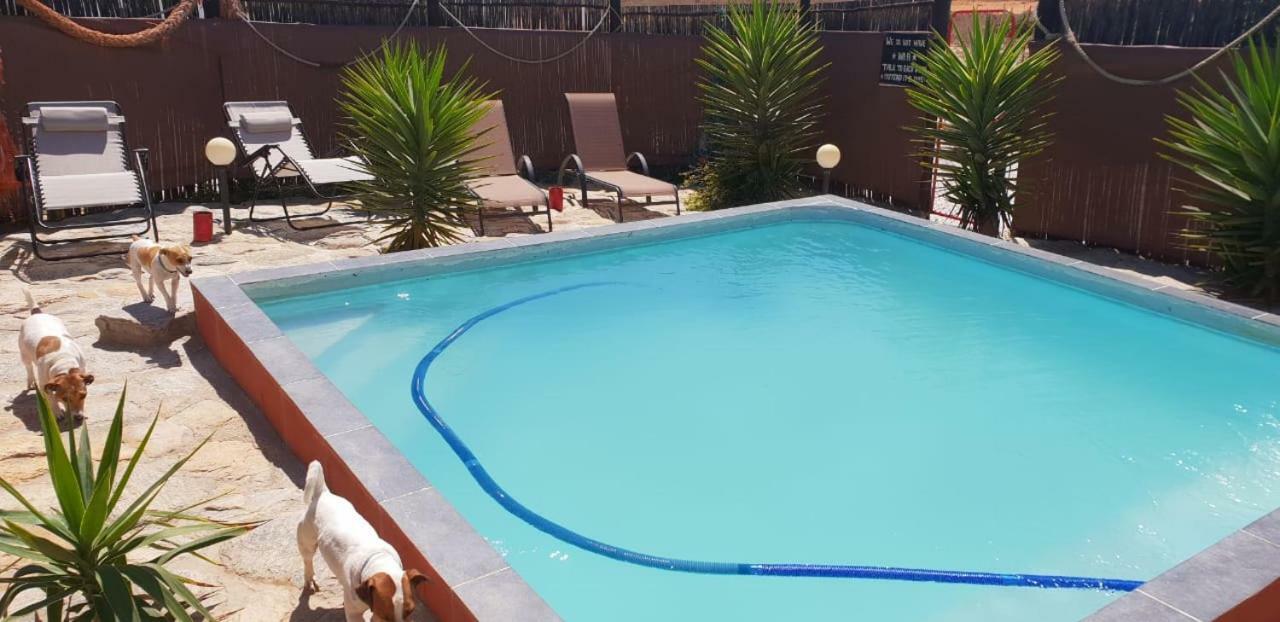 Honne-Pondokkies Hondeklipbaai Dış mekan fotoğraf