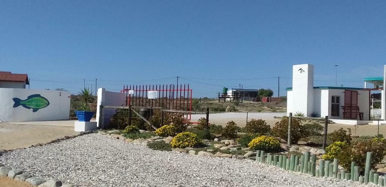 Honne-Pondokkies Hondeklipbaai Dış mekan fotoğraf
